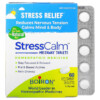 Thực phẩm bổ sung Boiron Stress Calm Meltaway Tablets Stress Relief Unflavored 60 Meltaway Tablets 306969333044