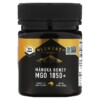 Mật Ong Manuka Egmont Honey MGO 1050+ 250 g 4 Thực phẩm bổ sung Egmont Honey Manuka Honey MGO 1050+ 8.8 oz (250 g) 9421034912663