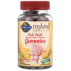 Thực phẩm bổ sung Garden of Life MyKind Organics Kids Multi Organic Cherry Flavor 120 Vegan Gummy Bears 658010120753