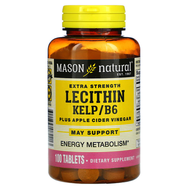 Mason Natural Extra Strength Lecithin Kelp/B6 Plus Apple Cider Vinegar