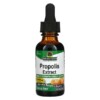 Thực phẩm bổ sung Nature's Answer Propolis Extract Alcohol-Free 2.000 mg 1 fl oz (30 ml) 083000006579
