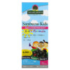 Thực phẩm bổ sung Nature's Answer Sambucus Kid's Formula 4.000 mg 8 fl oz (240 ml)) 083000262210