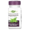 Viên uống Andrographis 300 mg 60 viên thực vật của Nature's Way 4 Thực phẩm bổ sung Nature's Way Andrographis 300 mg 60 Vegan Capsules 033674153819