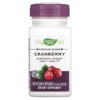 Viên uống bổ sung việt quất thiên nhiên Nature's Way Premium Blend Cranberry 400 mg 60 viên chay 4 Thực phẩm bổ sung Nature's Way Premium Blend Cranberry 400 mg 60 Vegan Capsules 033674151341
