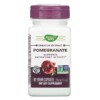 Thực phẩm bổ sung Nature's Way Premium Extract Pomegranate 350 mg 60 Vegan Capsules 033674153857