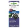 Thực phẩm bổ sung Nature's Way Sambucus Alpha CF Multi-Symptom Flucare With Elderberry 4 fl oz (120 ml) 033674158036