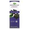 Thực phẩm bổ sung Nature's Way Sambucus Standardized Elderberry Original Syrup 8 fl oz (240 ml) 033674153321
