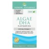 Thực phẩm bổ sung Nordic Naturals Algae DHA 60 Soft Gels 768990016042