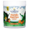 Thực phẩm bổ sung Nordic Naturals Nordic Berries Multivitamin Gummies Ages 3+ Original 120 Gummy Berries 768990301209