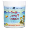 viên kẹo dẻo Omega-3 Nordic Naturals hương quýt 41 mg 120 viên 4 Thực phẩm bổ sung Nordic Naturals Nordic Omega-3 Gummies Tangerine Treats 41 mg 120 Gummies 768990301315