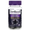 Thực phẩm bổ sung Sambucol Black Elderberry Advanced Immune Support with Vitamin C & Zinc 30 Gummies 896116001228