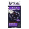 Siro Sambucol Elderberry Đen 230 ml (7.8 fl oz) của Sambucol 5 Thực phẩm bổ sung Sambucol Black Elderberry Syrup 7.8 fl oz (230 ml) 896116001112
