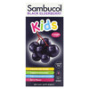 Thực phẩm bổ sung Sambucol Black Elderberry Syrup For Kids Berry Flavor 7.8 fl oz (230 ml) 896116001211