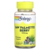 Thực phẩm bổ sung Solaray Saw Palmetto Berry 555 mg 100 VegCaps 076280195507