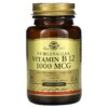 Thực phẩm bổ sung Solgar Sublingual Vitamin B12 1.000 mcg 250 Nuggets 033984032309